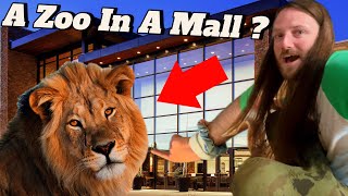 Irish Guy Reacts To American Mall With Petting Zoo 🇺🇸🦈