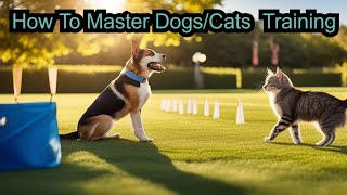 How to master Cat and Dog Training Techniques | Super Pet Hub