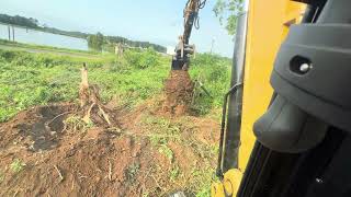 Big trees tree removal