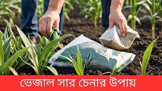 ভেজাল সার চেনার উপায় | ইউরিয়া, ফসফরাস,পটাশ সার পরীক্ষা | Bright Agriculture