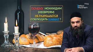 ⚠️Почему ноахидам (неевреям) не разрешается соблюдать Шаббат (2) |  #тора