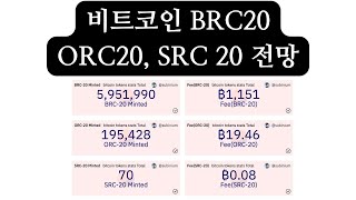 비트코인 BRC20, ORC20, SRC20 비교 및 전망