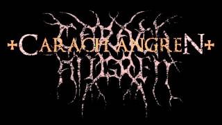 CARACH ANGREN - 07 - Departure Towards A Nautical Curse (TRADUÇÃO)