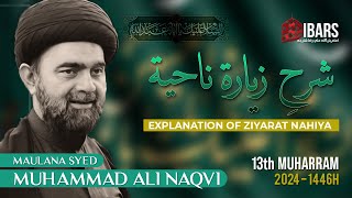 Majlis 3 | Sharh Ziyarat e  Nahiya - 13th Muharram 1446H | Maulana Syed Mohammad Ali Naqvi