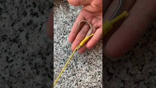 Mastering the Perfect Fishing Hook Knot #shorts