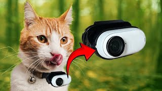 I got a Camera for my Cat to see where he goes | Cat POV Highlights #1