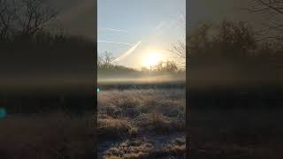 Frosty Morning #shorts #youtube #video #nature #peace #snow