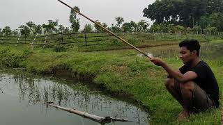 Hook Fishing | Amazing Hook Fishing village Pond | Catching catfish by Bamboo stick Hook | Big Fish