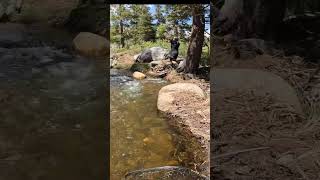 HUGE Cutthroat in TINY CREEK!!!