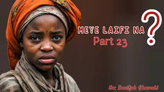 Meye Laifi Na? Latest Hausa Audio Novel 23