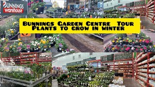 Bunnings Garden centre tour in winter 2023 | Indoor Plants |Best Outdoor Plants in winters