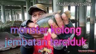 monsterBetoks kolong jembatan terciduk