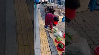 #southkorea #vagetables #footpathside #oldwomen #oldlady #traditionalmarket