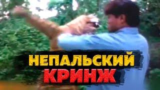 Упоротый тигр боксирует с человеком. Непальские  фильмы