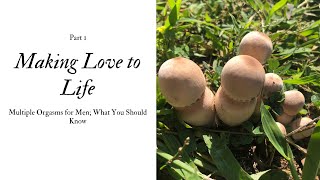 Making Love to Life; Multiple Orgasms Part 1: What you Should Know