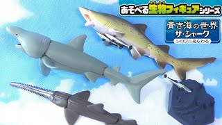 【青き海の世界ザ・シャーク】あそべる生物フィギュアシリーズ全4種類開封！【シロワニあらわる】