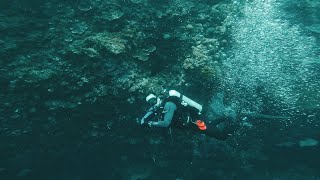 Diving Philippines - Bohol (Dive 6) | Pontod Wall, Drift Dive