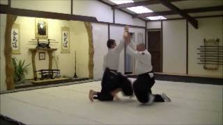 Suwari Waza Shomen Uchi Sankyo