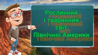 Рослинний і тваринний світ Північної Америки. Природознавство четвертий клас. ЯДС