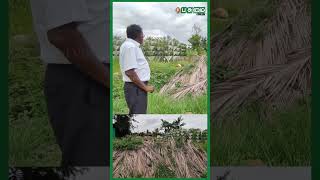 ஊட்டமேற்றிய உரநீர் இப்படித்தான் உருவாகுது | Vertical garden | Pasumai Vikatan