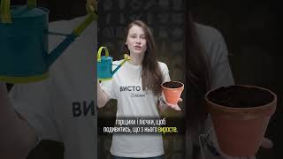 Огірки-мутанти з космосу #shorts #українськийютуб #космос #цікавіфакти