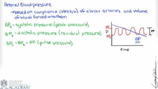 Regulation of Blood Pressure & Volume