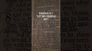 Exodus 8:1 "Let My People Go, That They May Serve Me" #bible #YAHUAH #viral #glory #singer #exodus