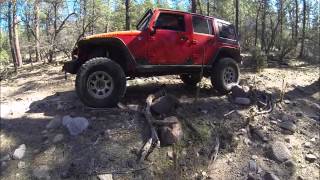 Battle at camp wood ponderosa pine