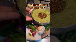 Celebrating Chutney EP23- Karuveppilai Chutney #chutney #food #recipe #shorts #foodie #shortvideo