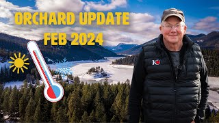 Orchard update Feb 2024