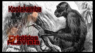 Koolakamba | Simio Híbrido | #Bestiario Vol. 16 | CRIPTOZOOLOGÍA | Criptidos A La Vista