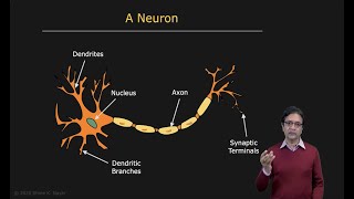 Overview | Neural Networks