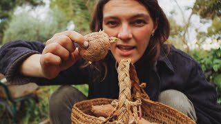 Qué Plantar en Febrero - Los Primeros Cultivos del Año