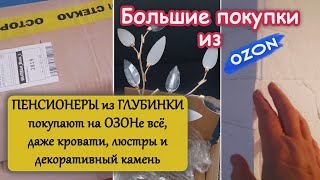 Пенсионеры из Российской Глубинки купили на OZONe плитку, кровати, люстры и много всего нужного.