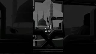 Surah Yaseen ❤️🥀🕋with translation #islamicvideos #shortfeed #youtubeshorts #viral