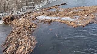 Debris over the dam