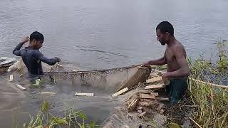 Most Popular Cast Net Fishing in Village Pond || Traditional Catching Fish in The River