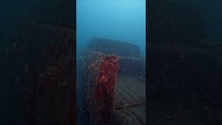 Sunken Treasures #American #cars #underwater #fyp #viral #gopro