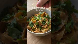 Spicy Peanut Noodles | Quick & Easy Lunch Idea #noodlesrecipe #peanutsauce #lunchideas