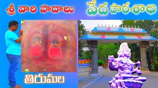 SRI VARI PADALU & VEDA PATASALA in Tirumala! శ్రీవారి పాదాలు & వేద పాఠశాల తిరుమల