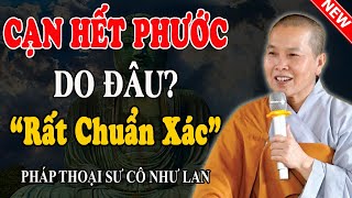 BẬN RỘN KHÔNG CHỊU TU, CẠN PHƯỚC DO ĐÂU? (Đừng Bỏ Qua) - Pháp Thoại Sư Cô Như Lan