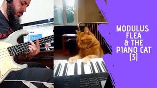 Modulus Flea & The Piano Cat [3]