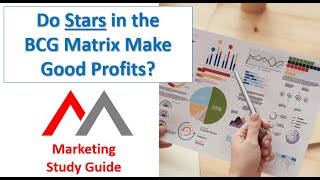 Do Stars in the BCG Matrix Make Any Profits?