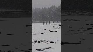 Cross Country Skiing on the Beach in Tofino, Canada!? ❄️🥶 - #Tofino Snow storm Surfing February 2023