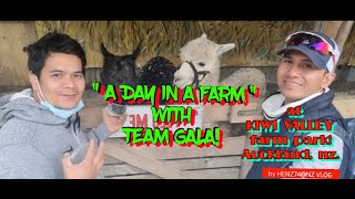 A DAY in a FARM with TEAM GALA at KIWI VALLEY FARM AND PARK! AUCKLAND, NZ