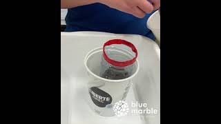 Water Filtration | Classroom Exploration | learning with nature