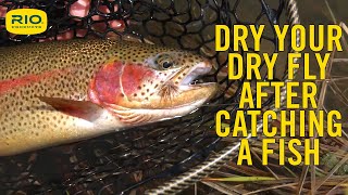 Dry Your Dry Fly After Catching A Fish