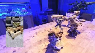 scaping with #reefcement