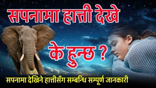 सपनामा हात्ती देखे के हुन्छ ? Sapanama Hatti dekhe K hunx ? #sapanakofal, Dream meaning हात्ती चढ्नु