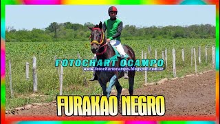 FURAKAO NEGRO   Avia Terai   Chaco 26 10 2024